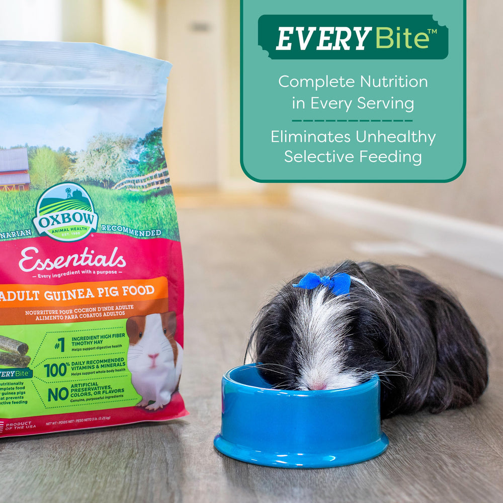 Oxbow Essentials pellets closeup shows texture and palatability