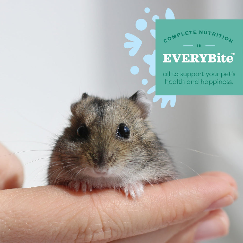 Oxbow Essentials prebiotics promote gut balance in small pets