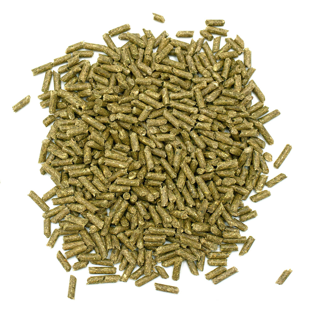 Oxbow Essentials Senior Guinea Pig Food natural antioxidants like ginger and turmeric visible
