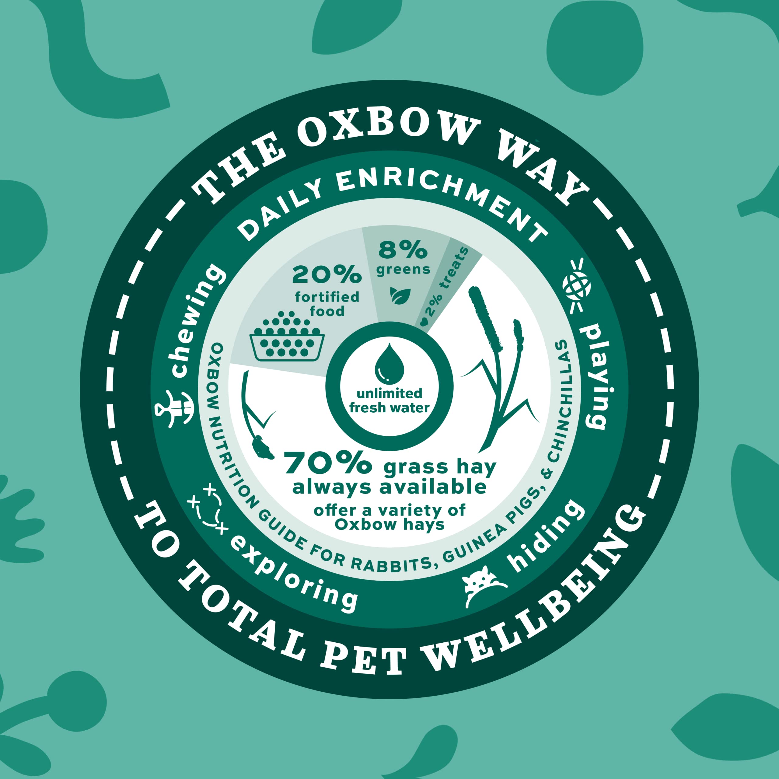 Oxbow Essentials Senior Rabbit Food serving guide illustration on packaging