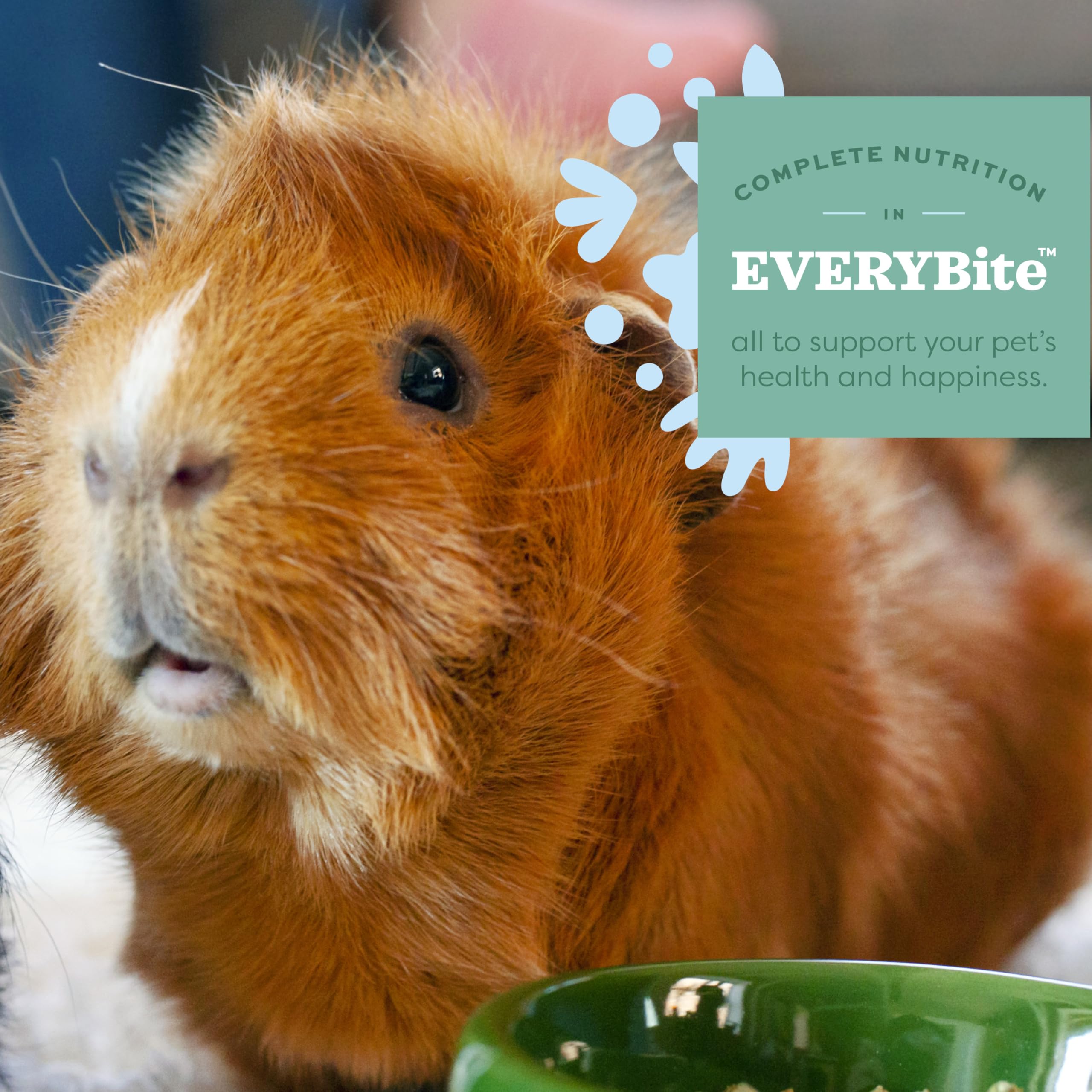 Oxbow Essentials uniform pellets prevent selective eating during meals