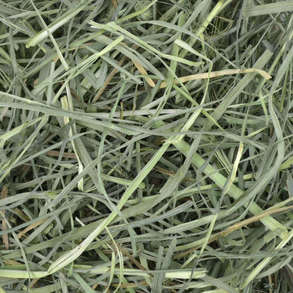 Oxbow Orchard Grass Hay is veterinarian recommended for small pets.
