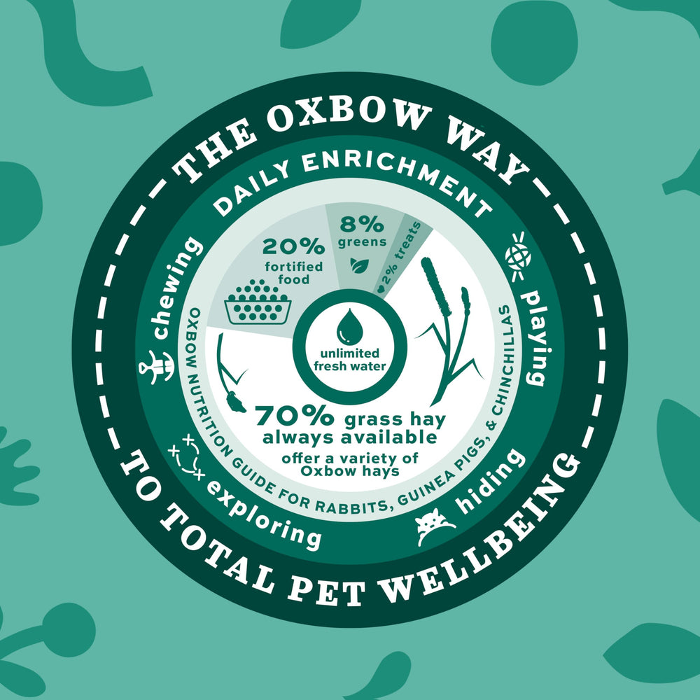 Oxbow Orchard Grass Hay provides high-fiber forage encouraging chewing and daily activity