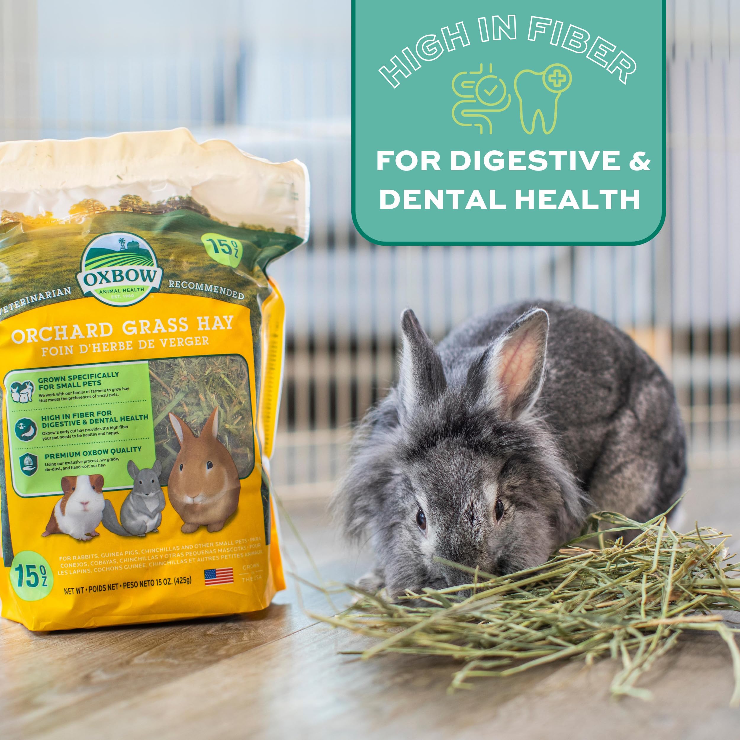 Oxbow Orchard Grass Hay supports routine feeding and variety when rotated with Timothy hay