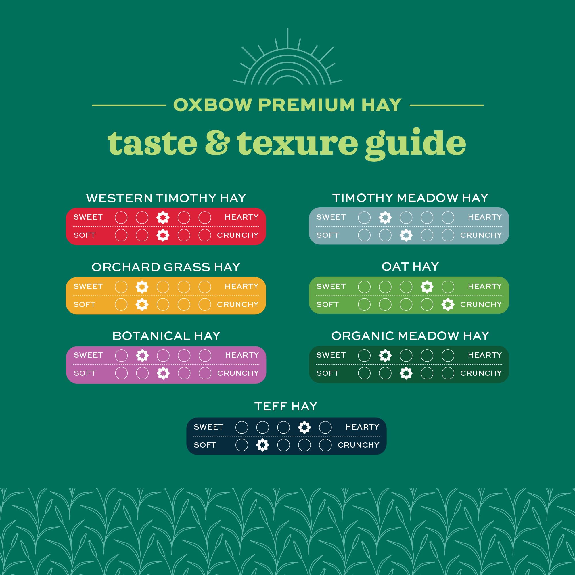 Oxbow Orchard Grass Hay dental wear support for consistent chewing habits.