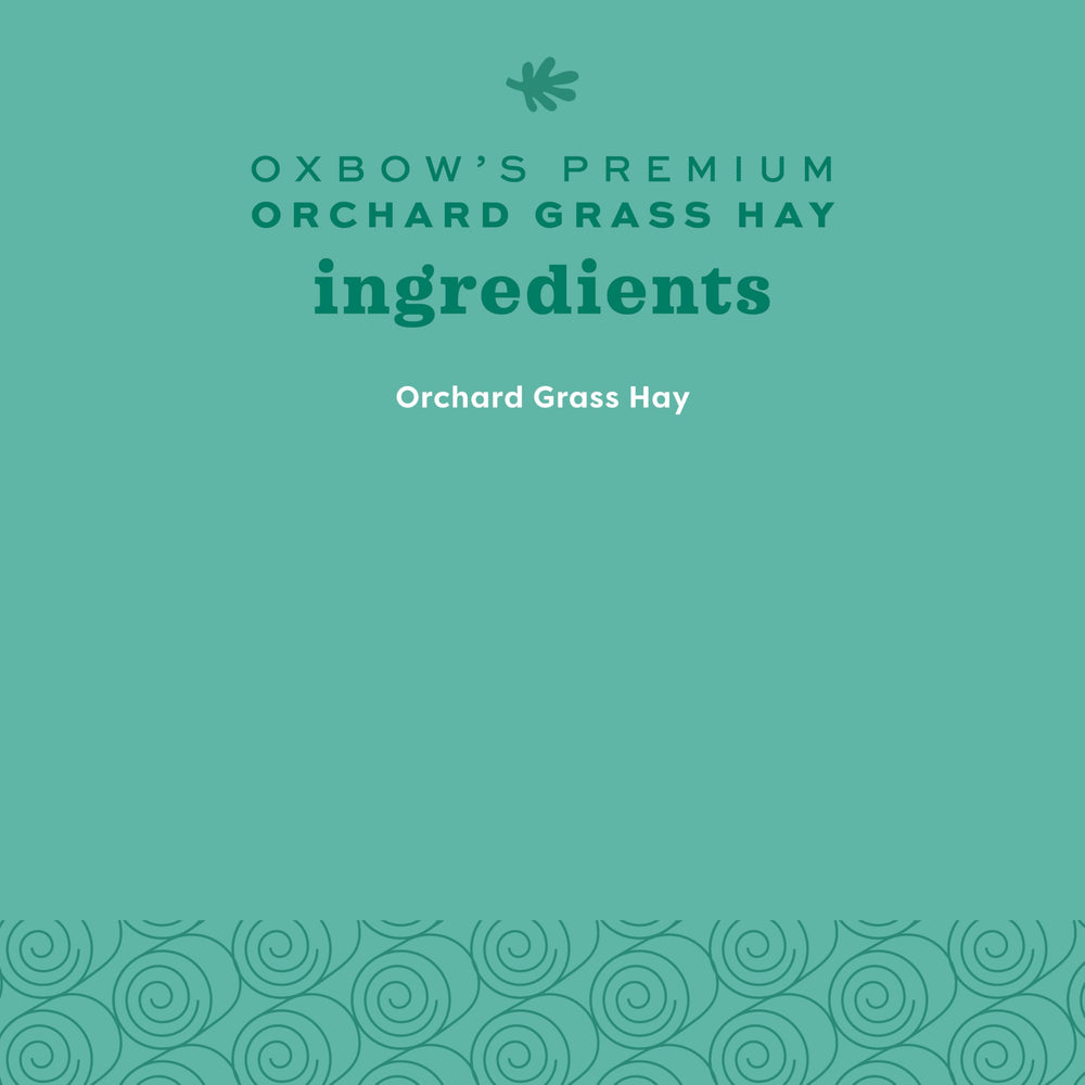 Oxbow Orchard Grass Hay pairs with hay racks and feeders for stress-free daily meals
