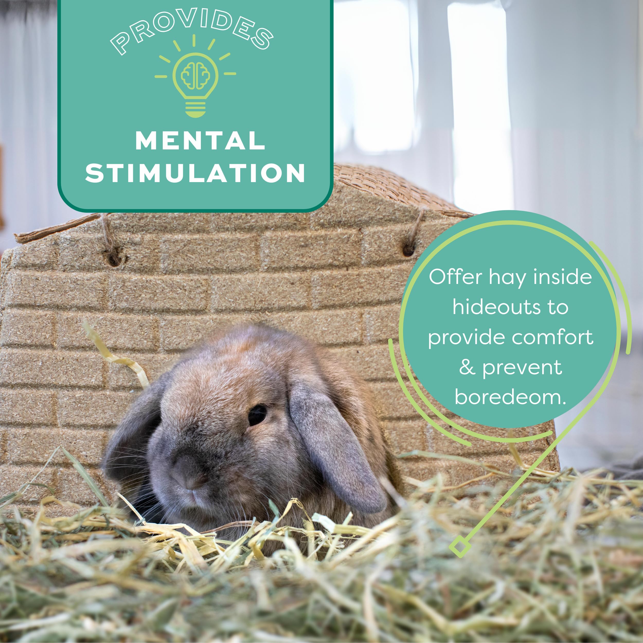 Oxbow Orchard Grass Hay grown in the USA supports trusted sourcing for pet diets