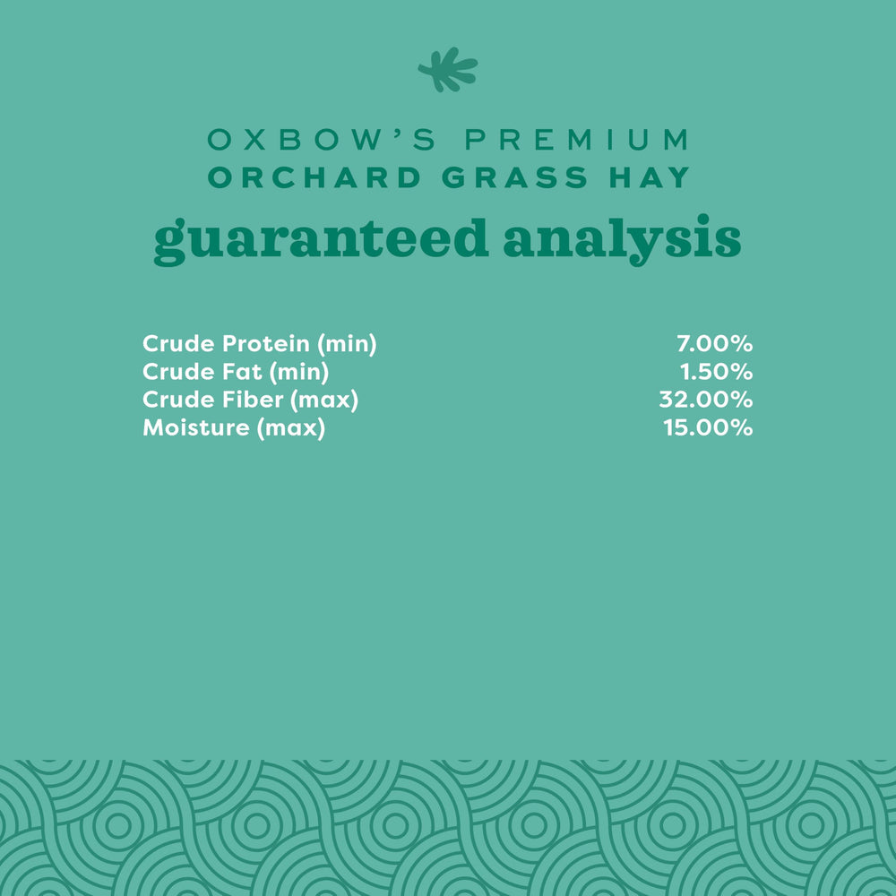 Oxbow Orchard Grass Hay aroma stimulates appetite while delivering a wholesome grazing experience