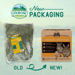 Oxbow Orchard Grass Hay shows soft texture preferred by small pets.
