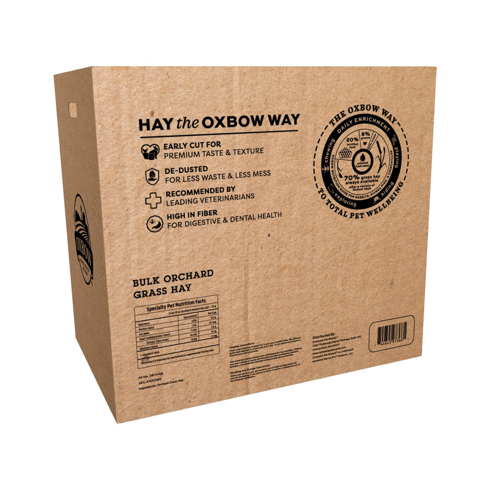 Oxbow Orchard Grass Hay with soft texture, ideal for gentle chewing and appetite appeal