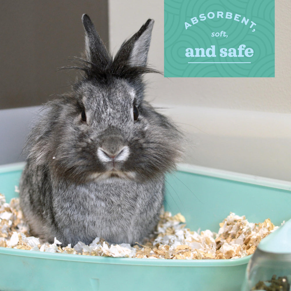 Oxbow Pure Comfort White Bedding showcases easy cleanup in litter boxes and cages.