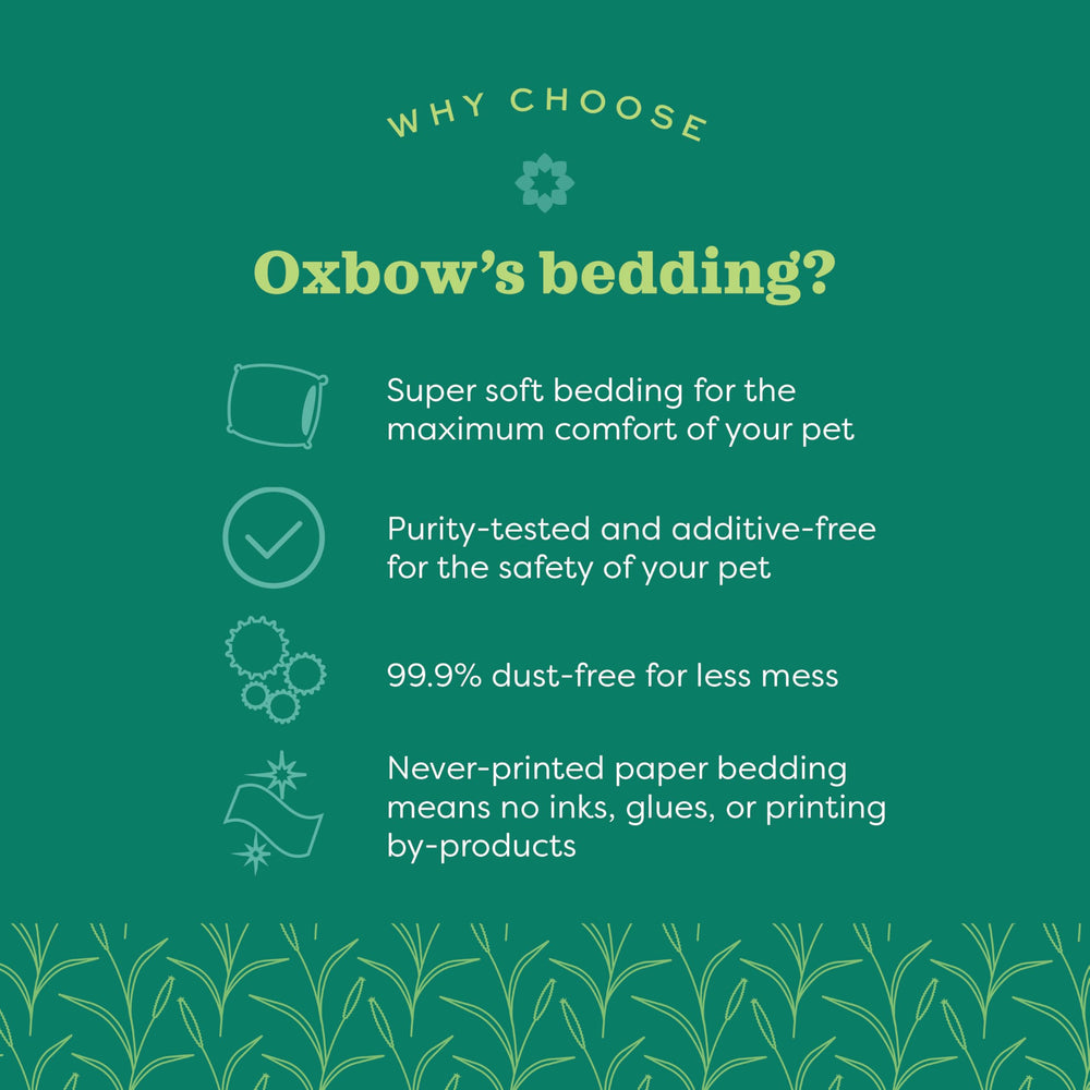 Oxbow Pure Comfort White Bedding uses pure paper material for safety and softness.