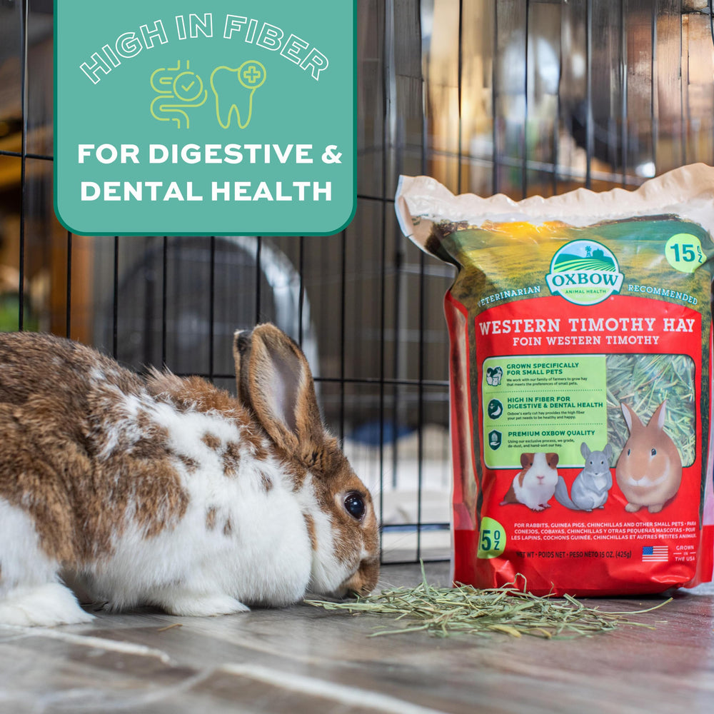 Oxbow Timothy Hay bulk 20-pound bag for convenient feeding.