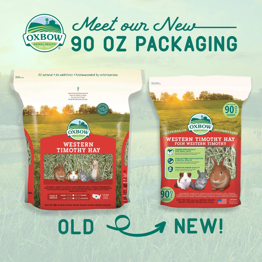 Oxbow Western Timothy Hay close-up—premium fiber texture supporting digestion.