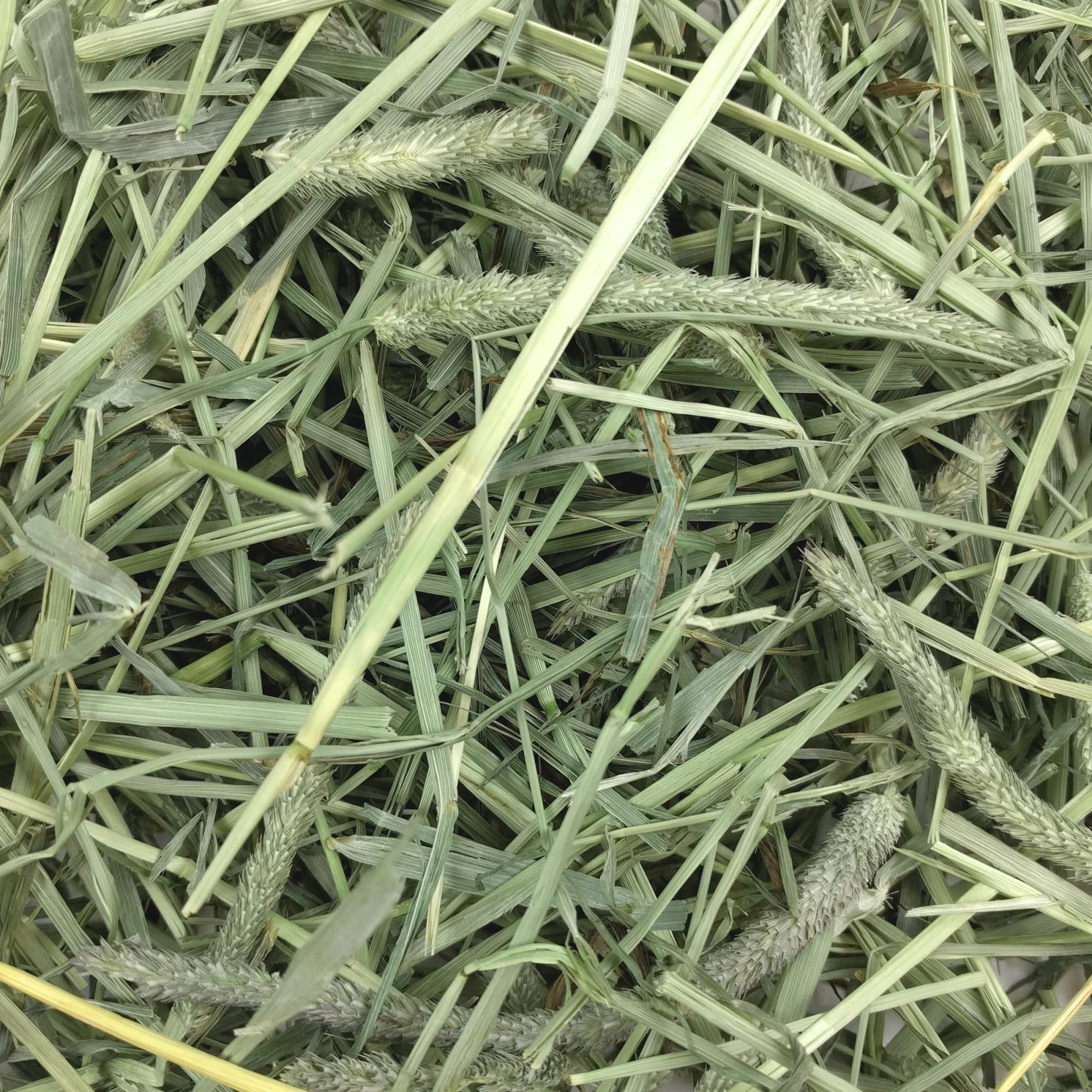 Oxbow hay hand-sorted for premium quality and care.