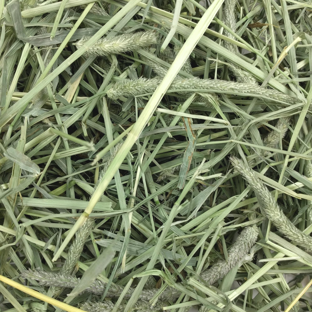 Oxbow hay hand-sorted for premium quality and care.
