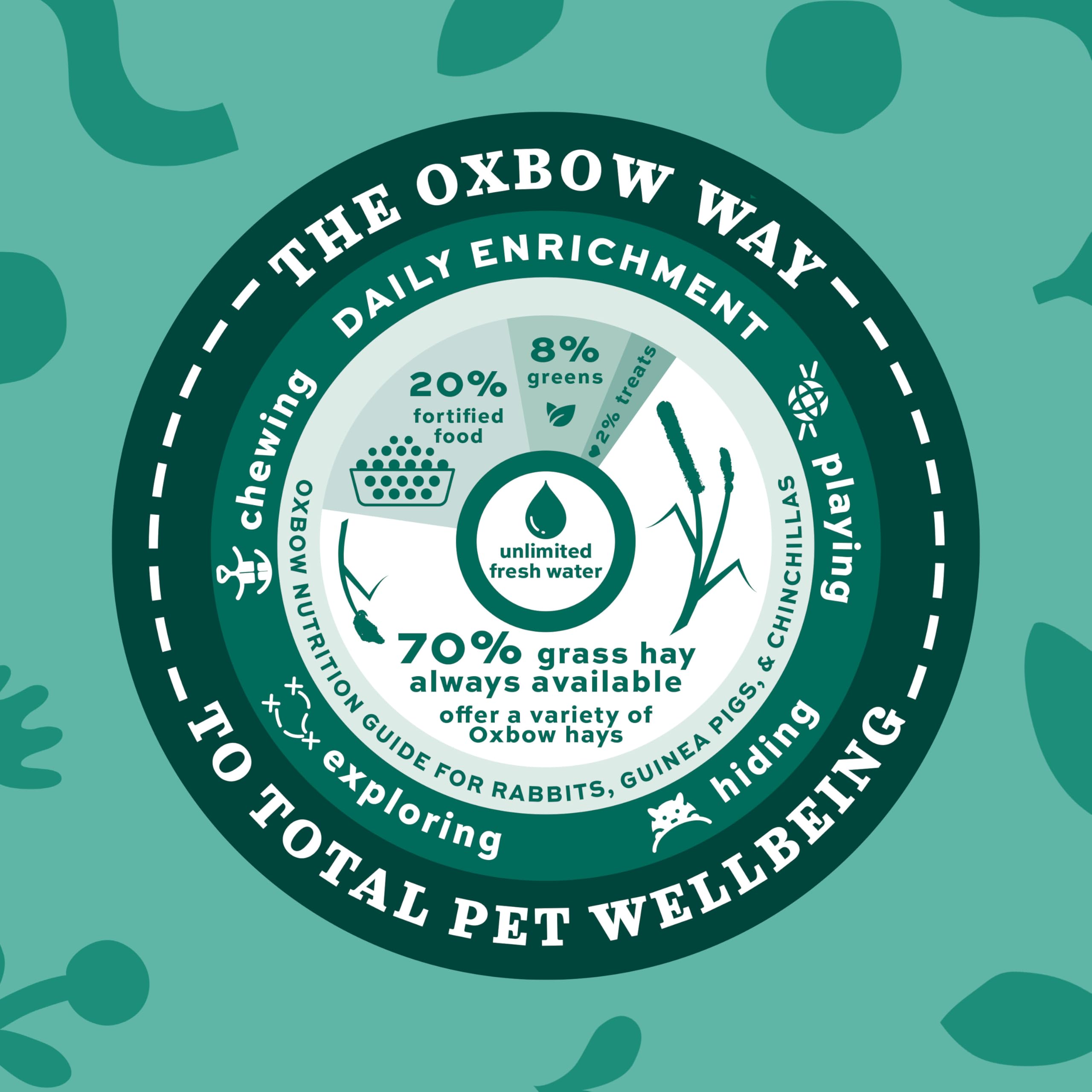 Oxbow Western Timothy Hay—supports varied small-pet diets.