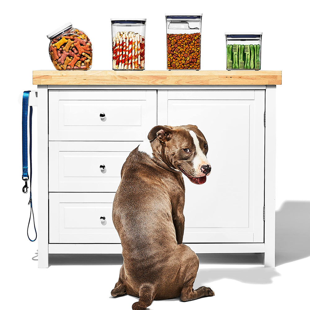 OXO Good Grips Pet POP container stores dental sticks and biscuits neatly.