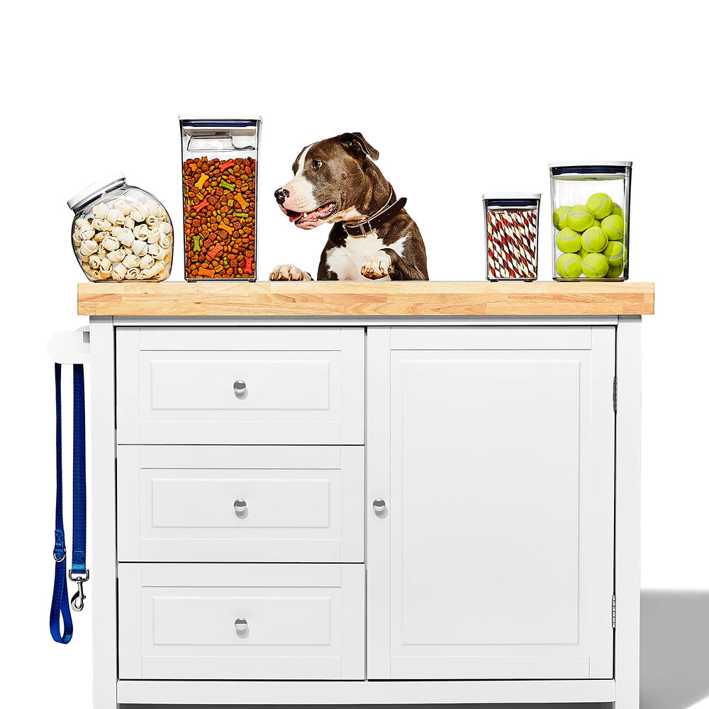 OXO Good Grips Pet POP Container easy-clean design with dismantlable lid.
