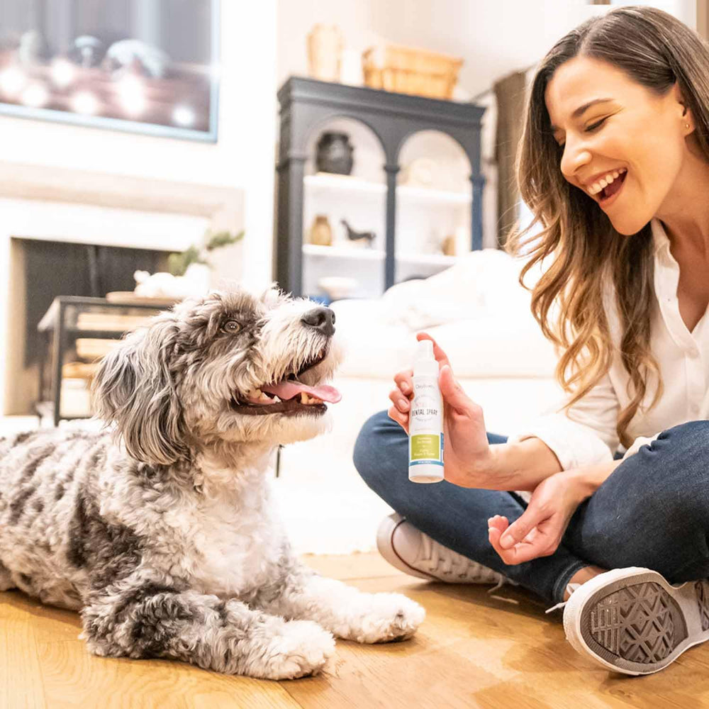 Oxyfresh spray shown on a cat portrait for fresh breath.