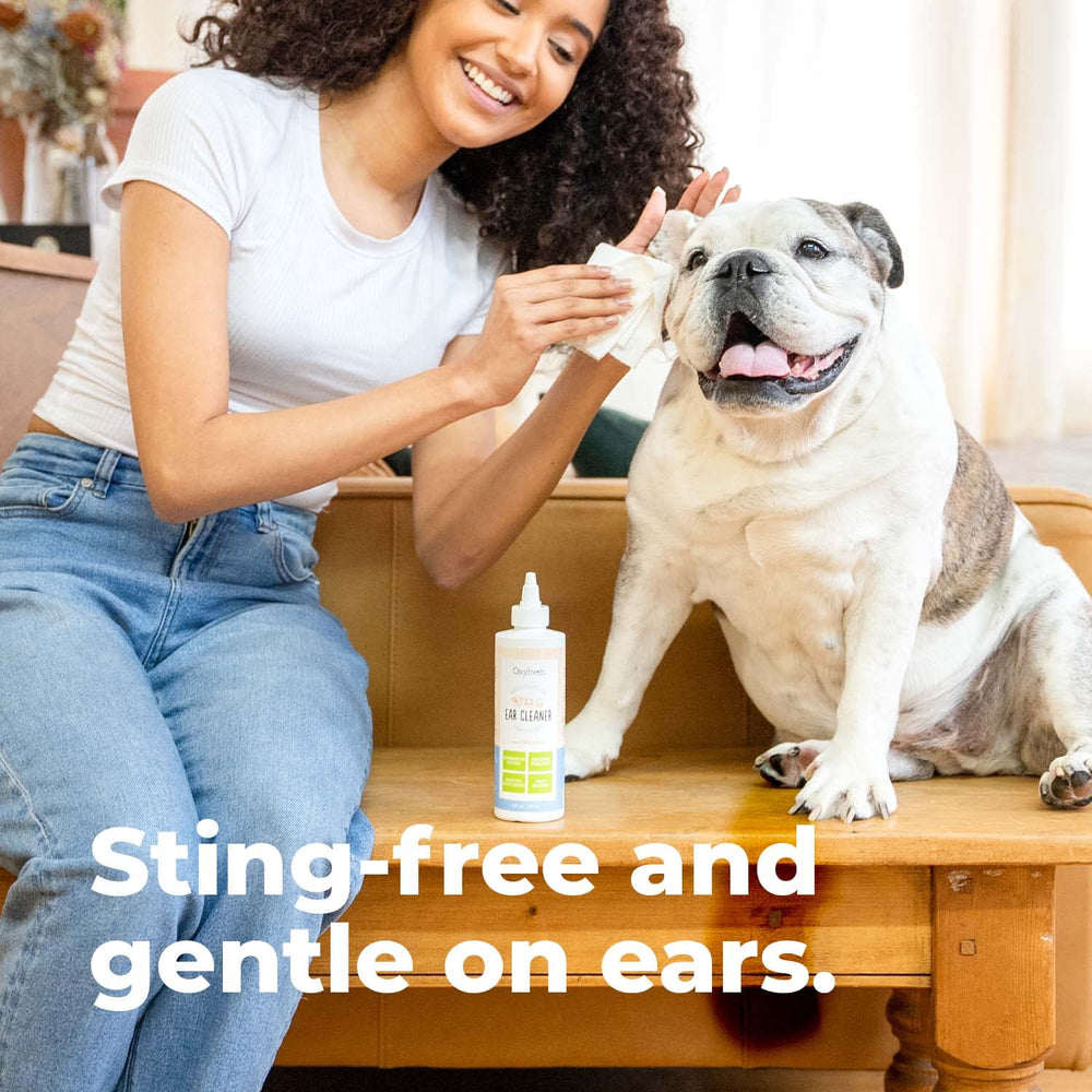 Oxyfresh Advanced Pet Ear Cleaner application on ear shows gentle rinse in action