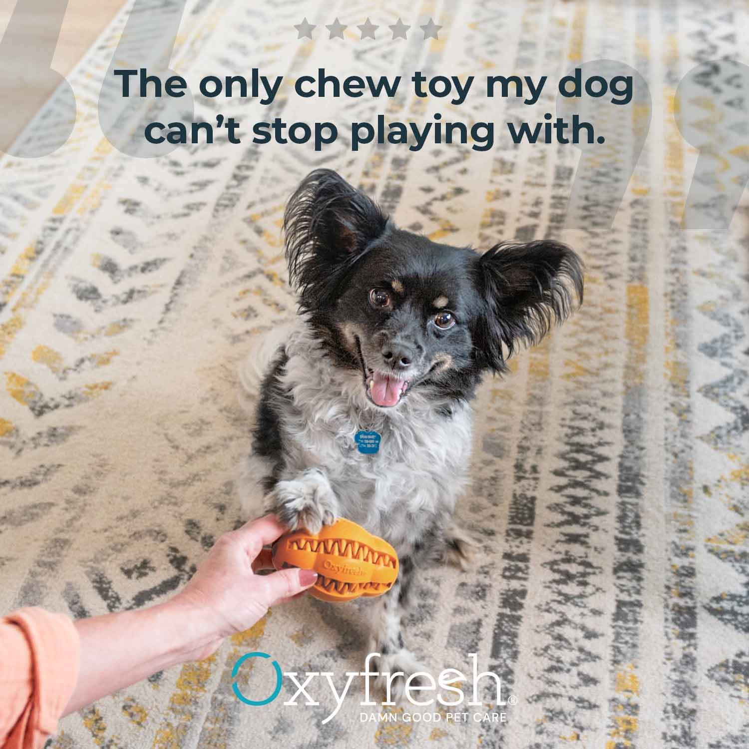 Oxyfresh dog dental chew toy demonstrating paste grooves for toothpaste.