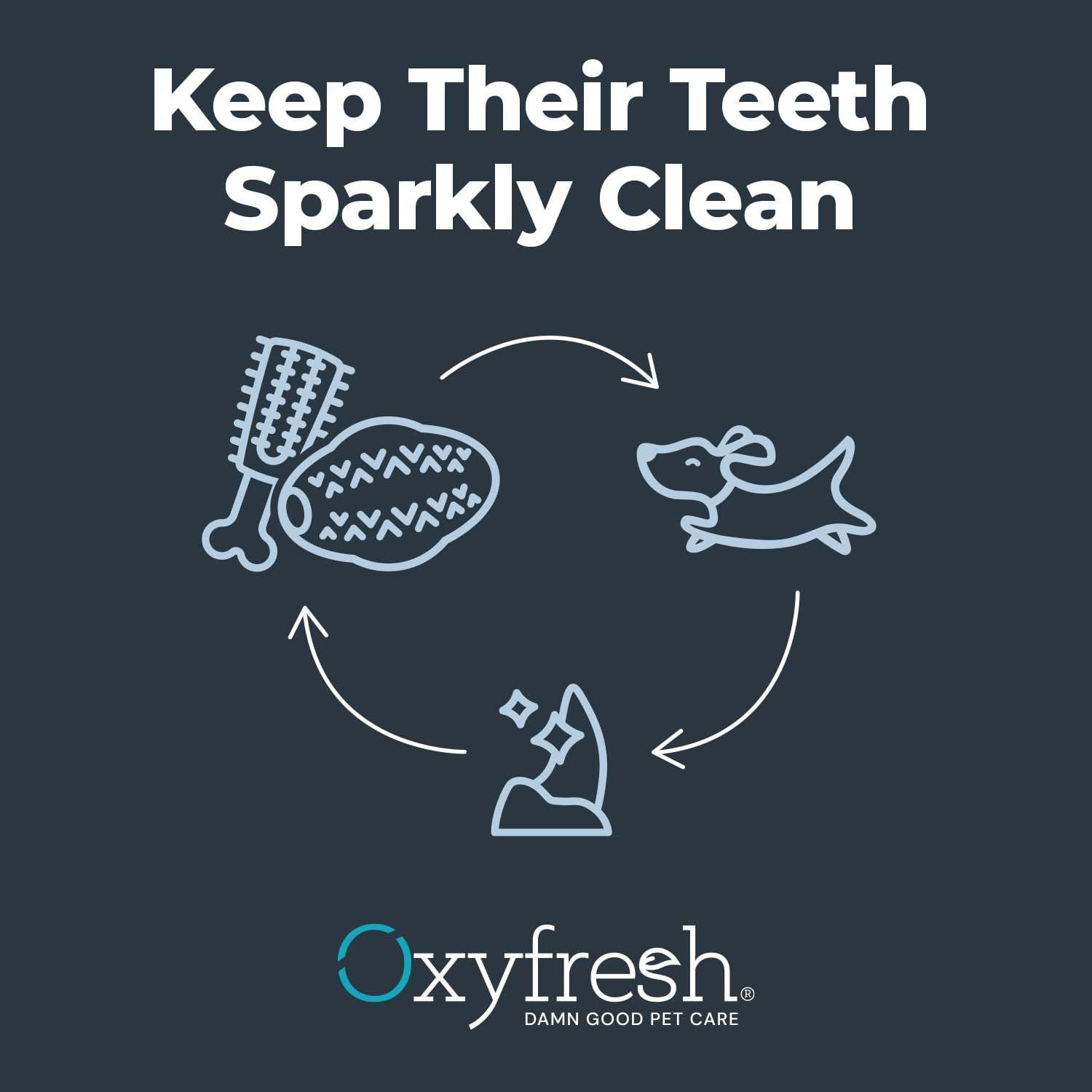 Oxyfresh dog dental chew toy used for dental play and healthy smiles.