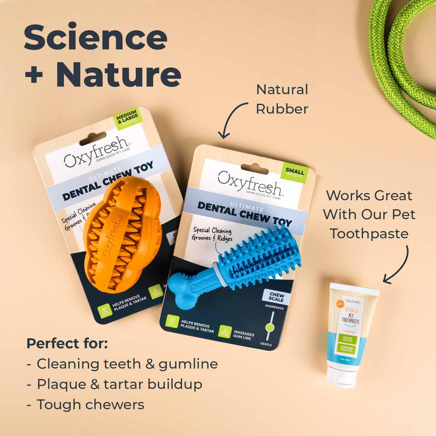 Oxyfresh dog dental chew toy designed for safe supervised chewing.