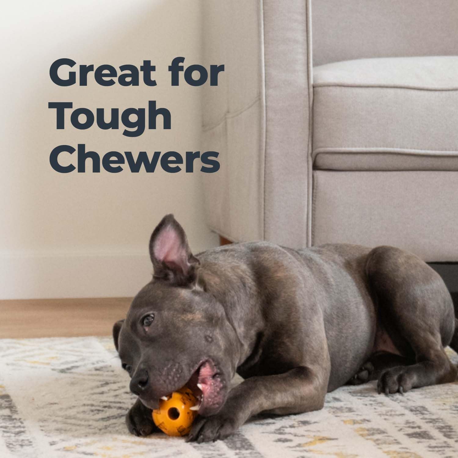 Oxyfresh dog dental chew toy made of natural rubber flavor-free.