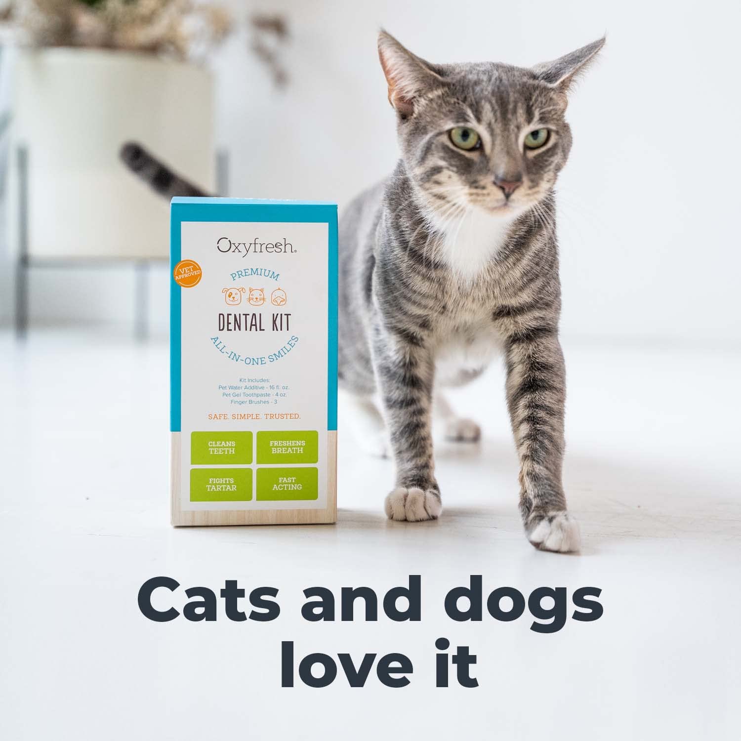 Oxyfresh kit is safe for puppies, kittens, dogs, and cats