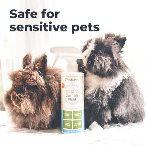 Oxyfresh no rinse cleaning demonstrates spray and wipe convenience