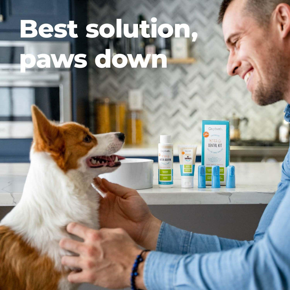 Oxyfresh non toxic formula keeps breath fresh without harsh ingredients