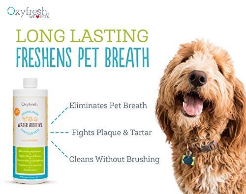 Oxyfresh Pet Dental Water Additive cap displayed for simple dosing in a pet care routine