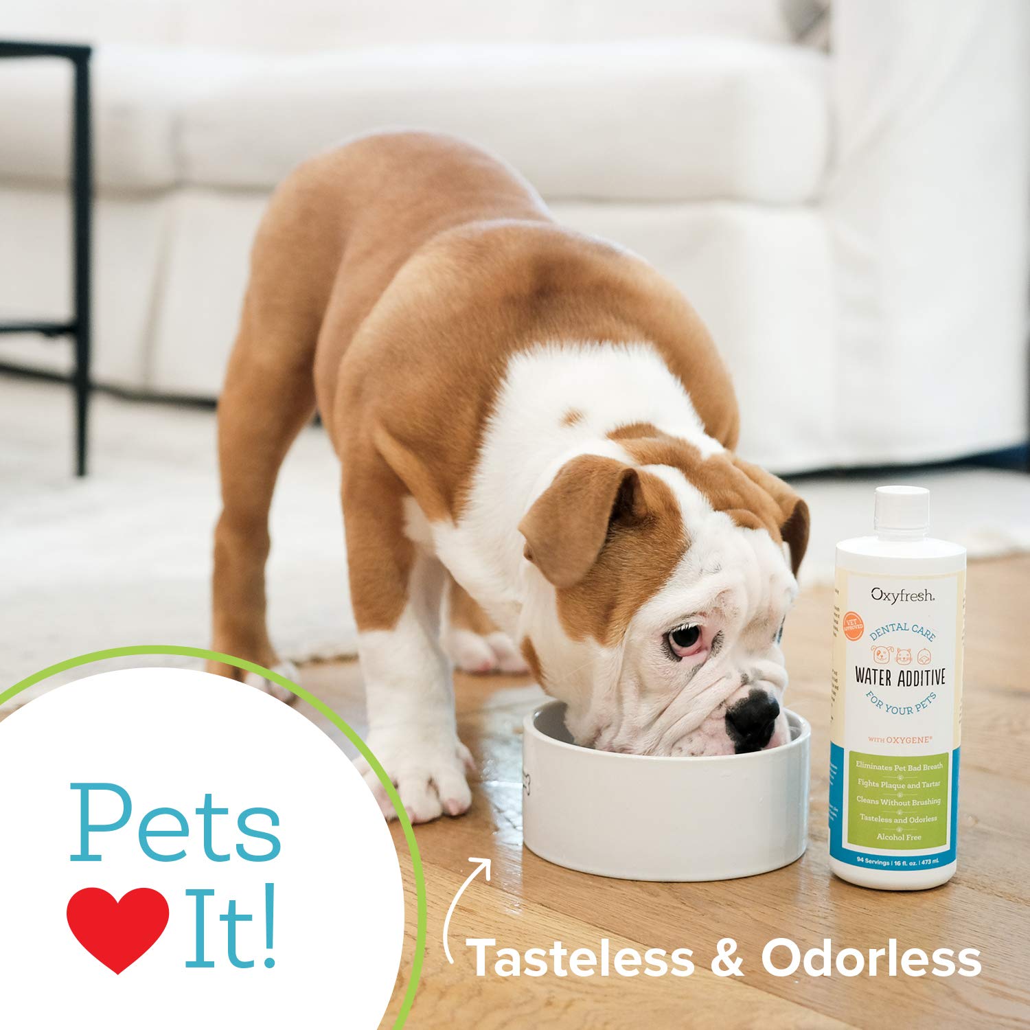 Oxyfresh Pet Dental Water Additive pour action ready to mix into a water bowl