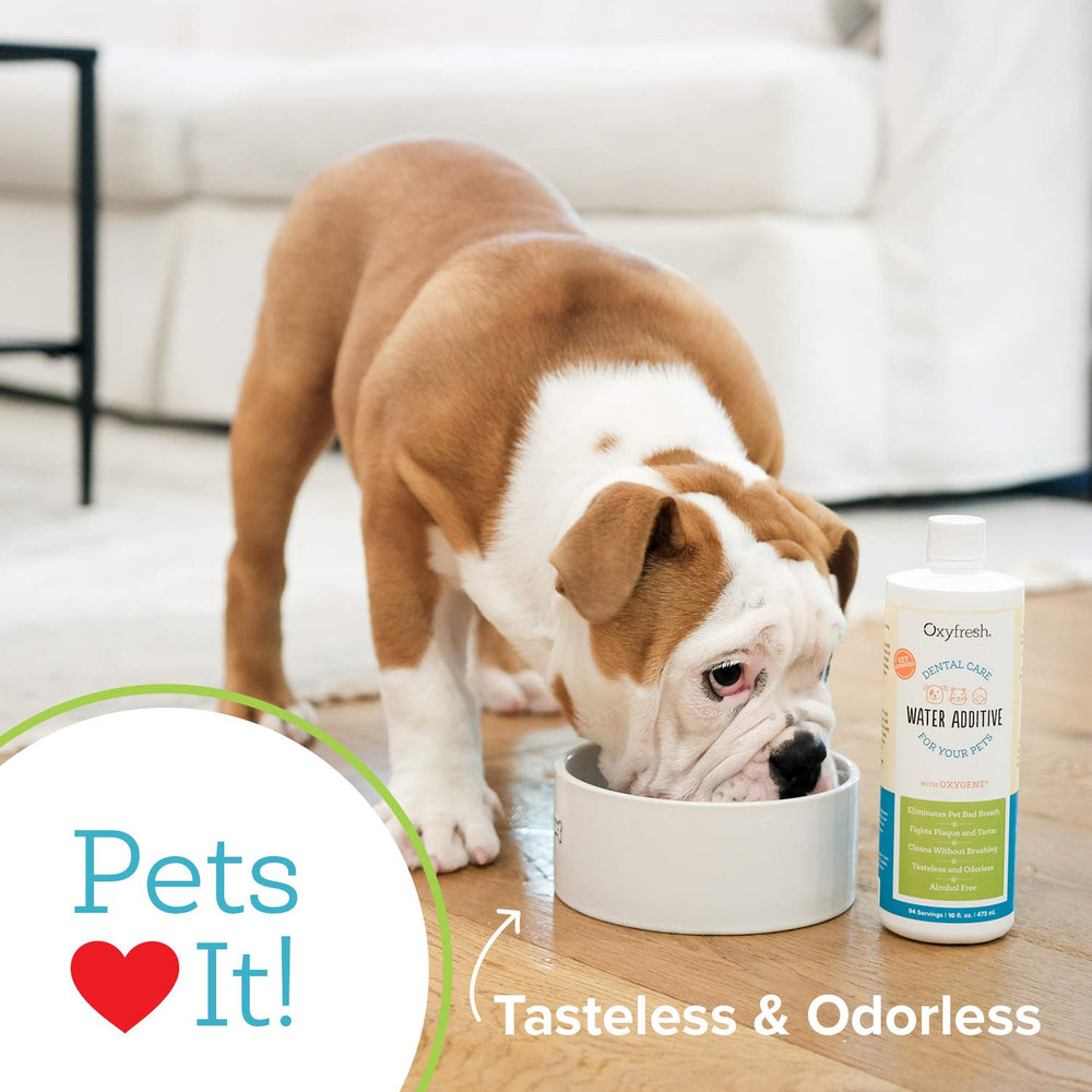 Oxyfresh Pet Dental Water Additive pour action ready to mix into a water bowl