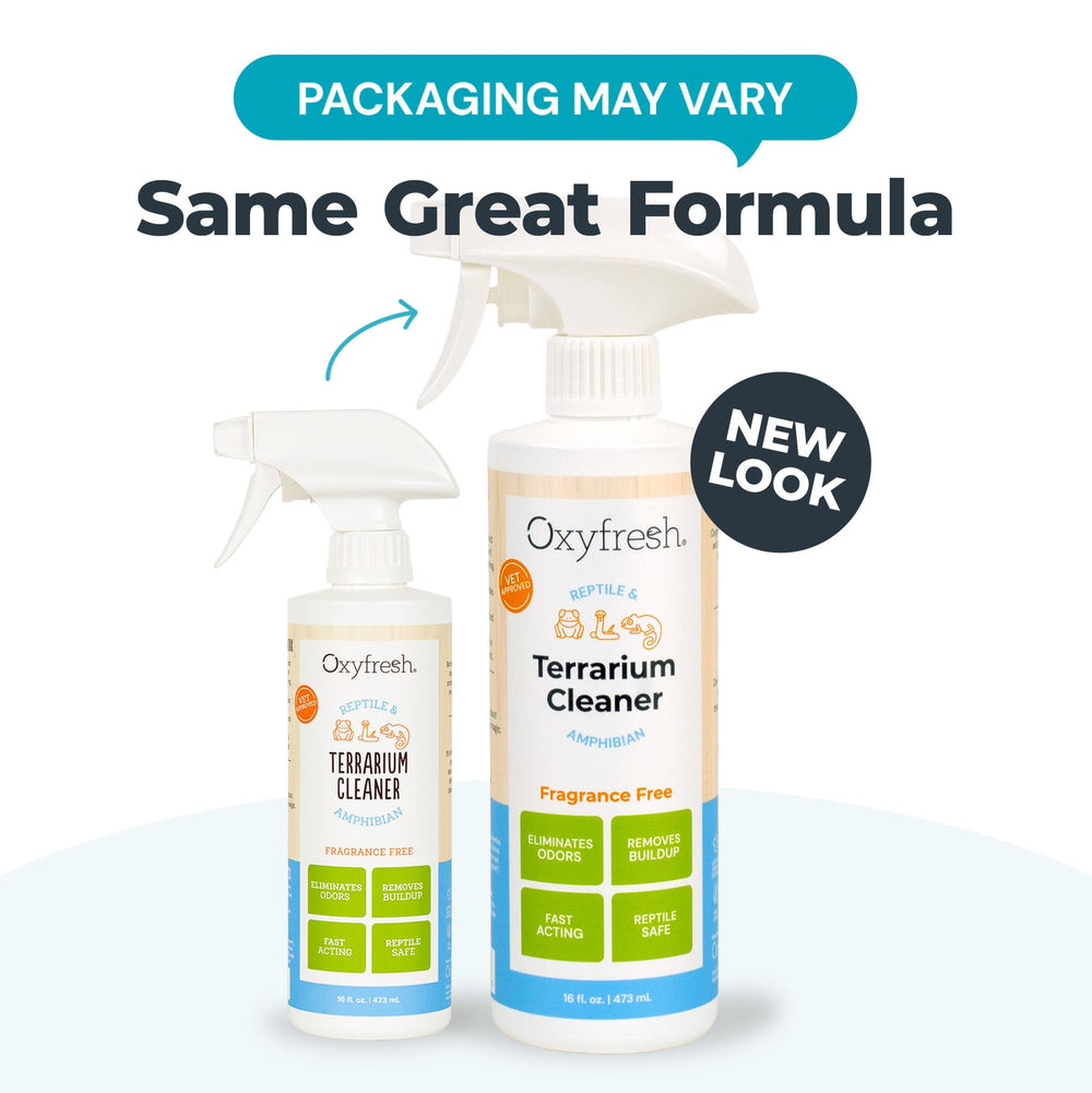 Oxyfresh Premium Terrarium Cleaner glass cleaning closeup shows streak-free shine