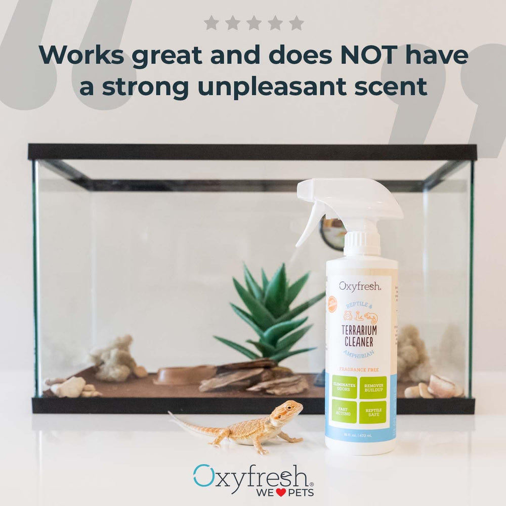 Streak-free glass achieved with Oxyfresh after terrarium cleaning