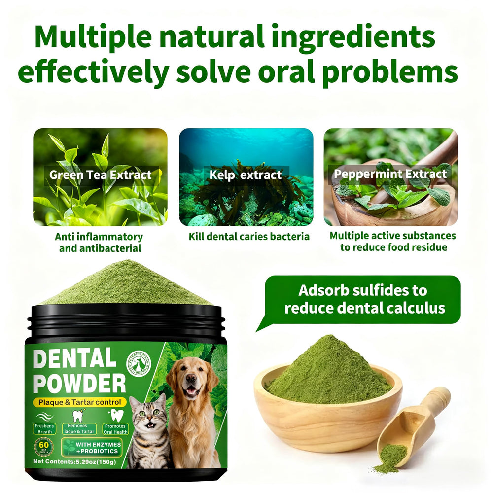 Pouring OZOXOO dental powder into dog meals for easy daily care.