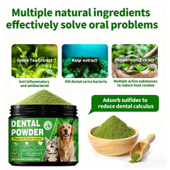 Pouring OZOXOO dental powder into dog meals for easy daily care.