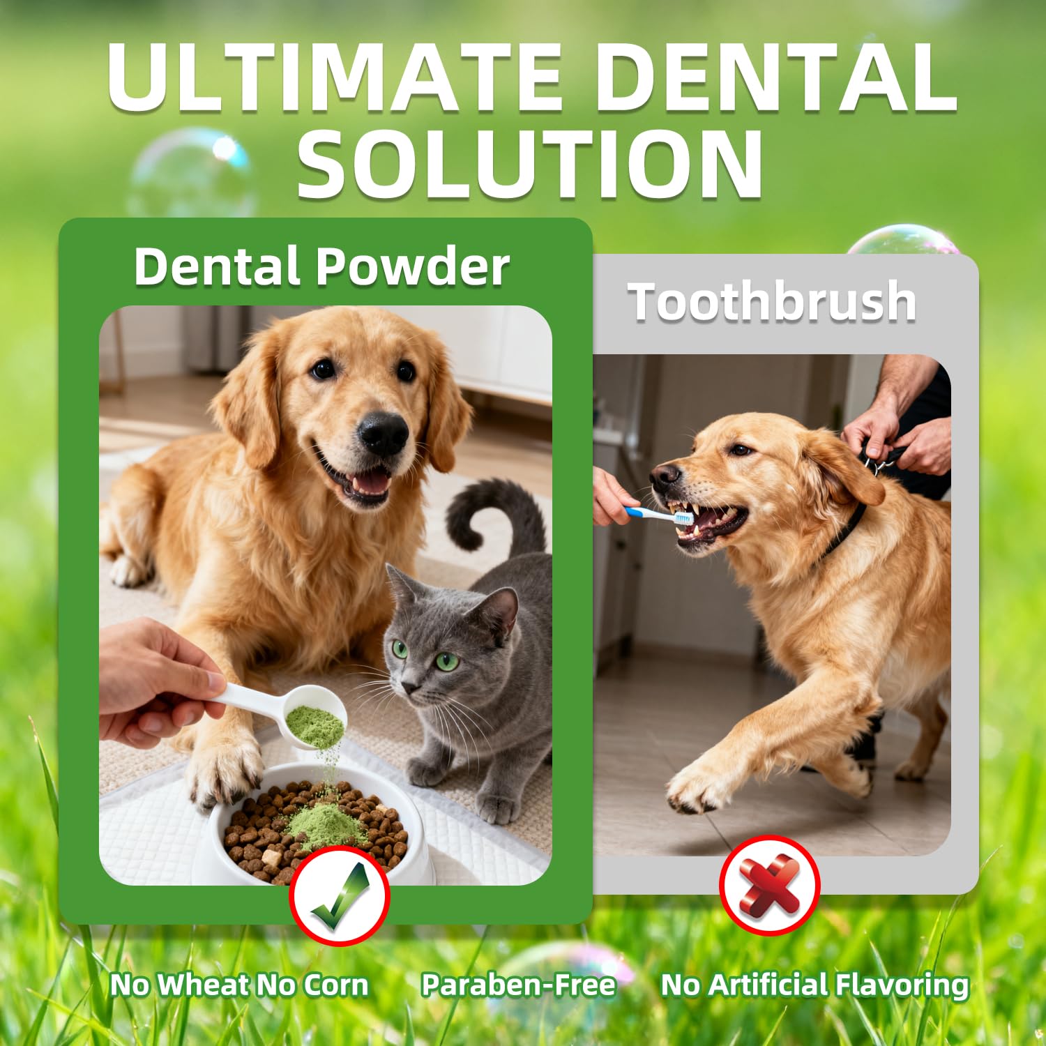 Mint and green tea extract contribute to fresh breath with OZOXOO powder.