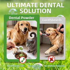 Mint and green tea extract contribute to fresh breath with OZOXOO powder.