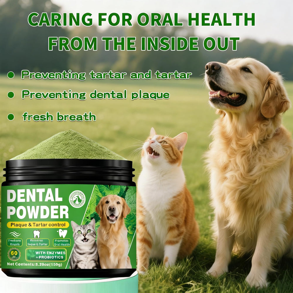 OZOXOO packaging showing brand and product details for dental powder.