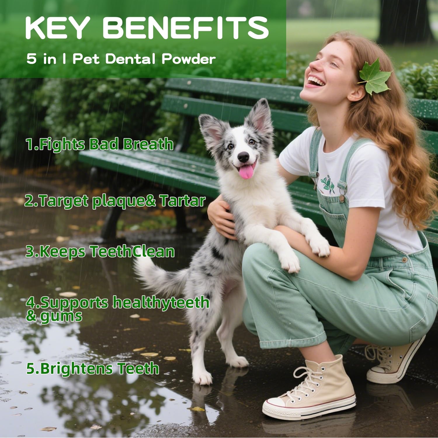 Pet owner prepares OZOXOO dental powder for daily routines.