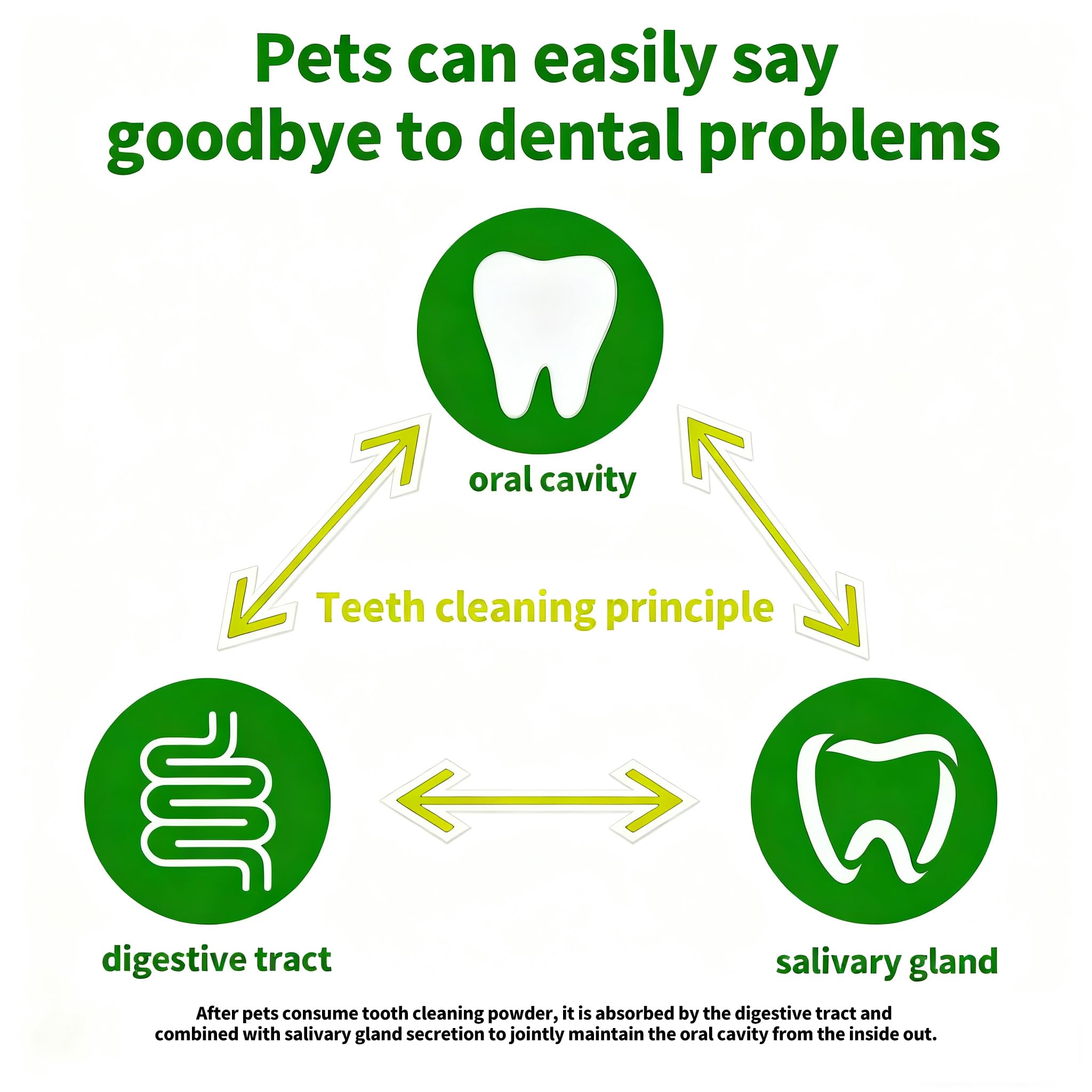 Dog-friendly OZOXOO dental powder with safe, high-quality ingredients.