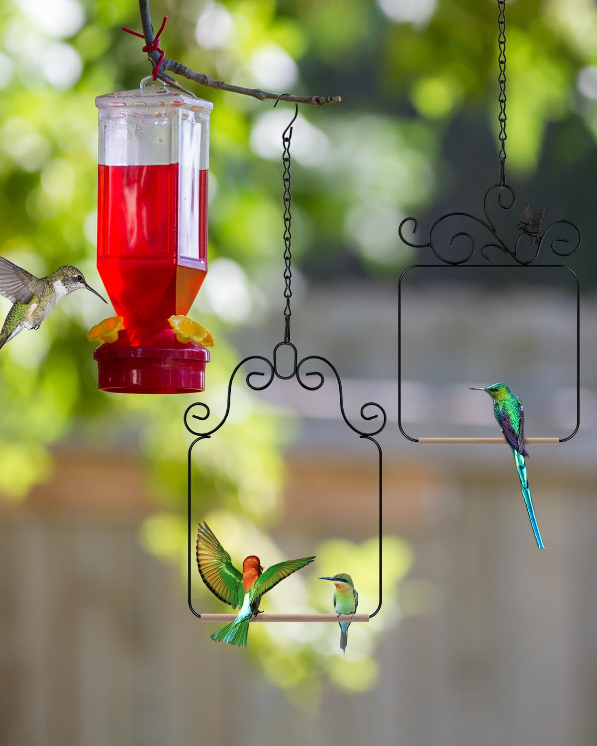 PACETAP hummingbird swing on branch design adds garden charm and easy mounting