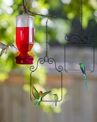 PACETAP hummingbird swing on branch design adds garden charm and easy mounting