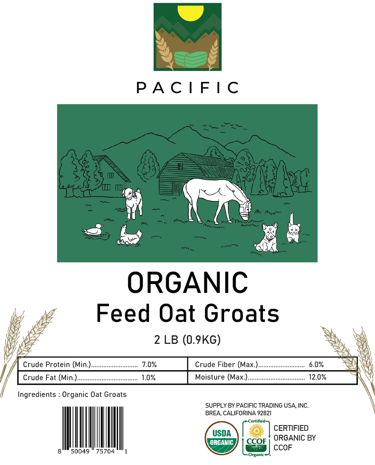 PACIFIC oat groats closeup fiber texture conveys natural whole-grain nutrition.