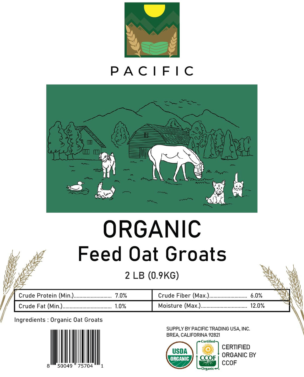 PACIFIC oat groats closeup fiber texture conveys natural whole-grain nutrition.