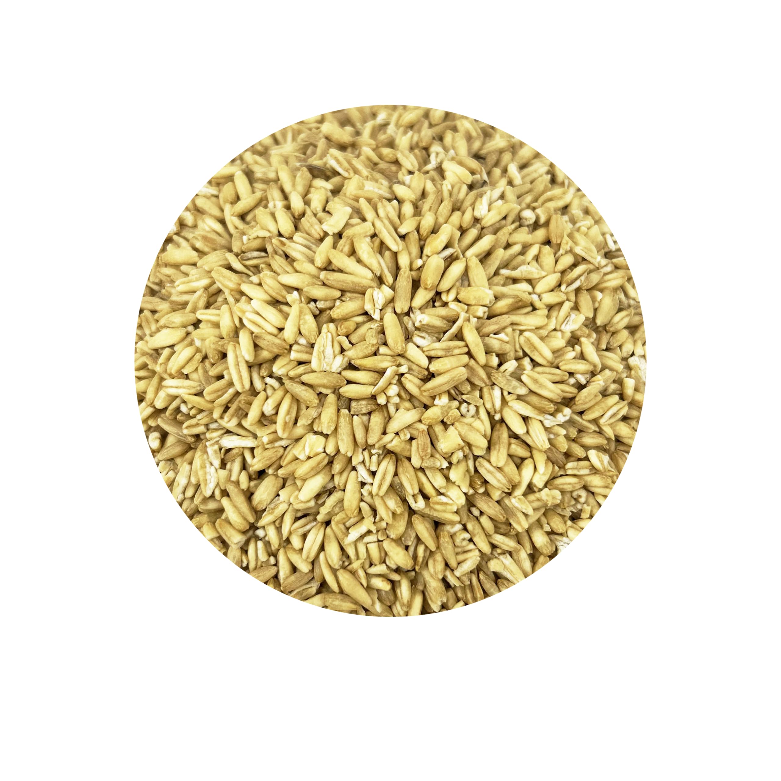 PACIFIC oat groats loose in bowl ready for a fiber-rich bird meal.