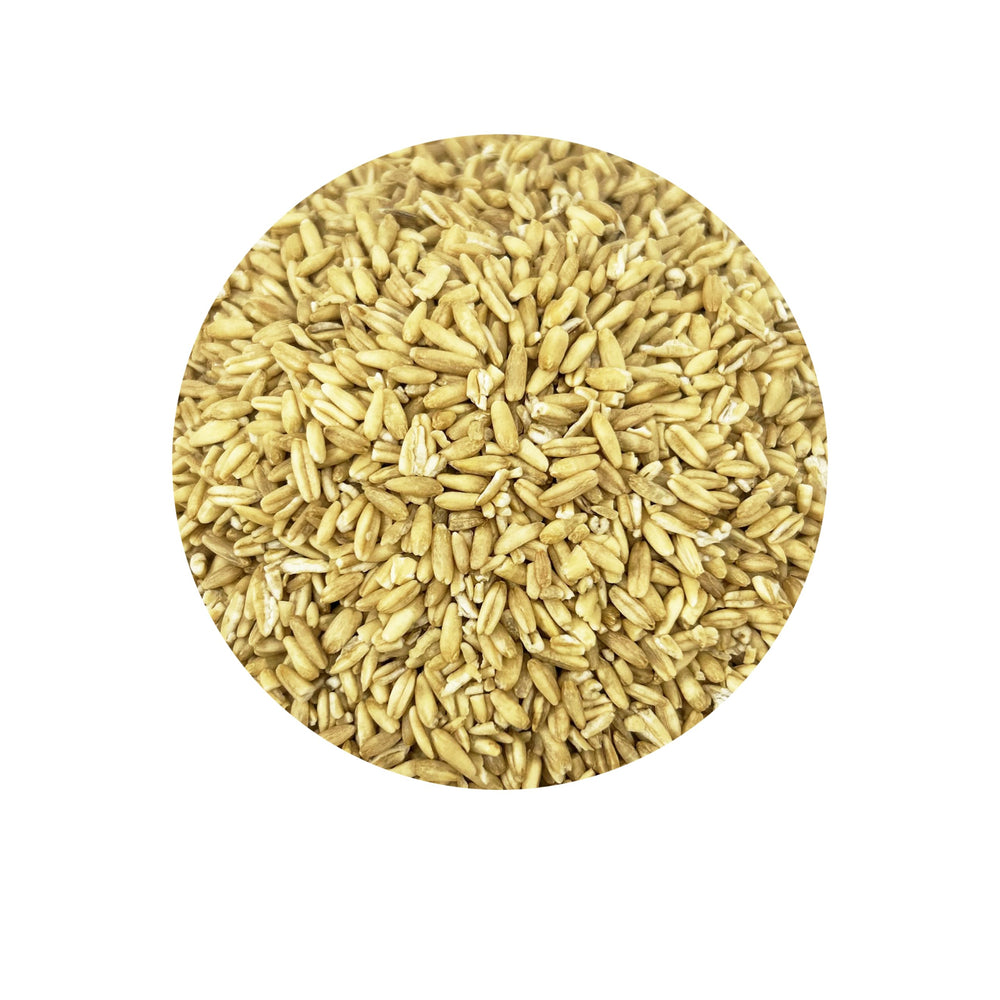 PACIFIC oat groats loose in bowl ready for a fiber-rich bird meal.